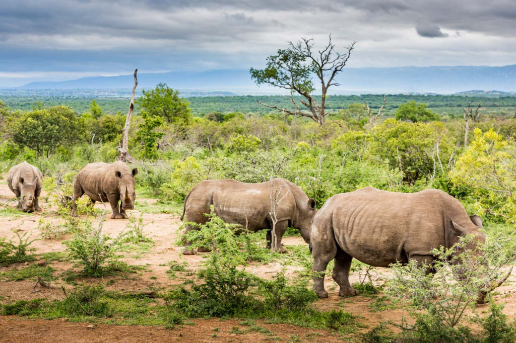 Swaziland 2018