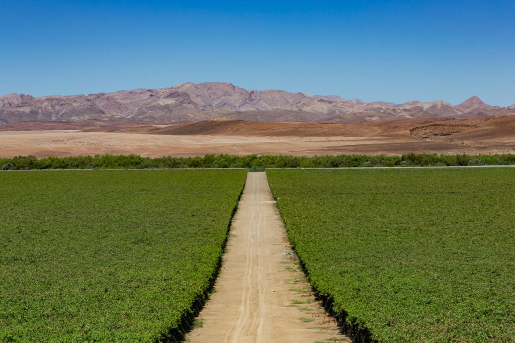 Namibia 2018